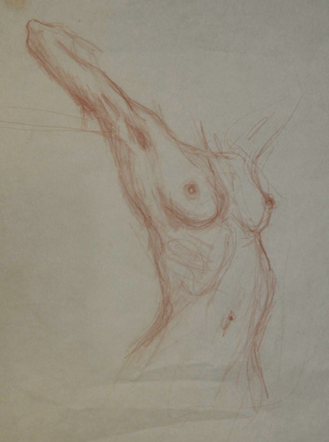 Studio figura 7